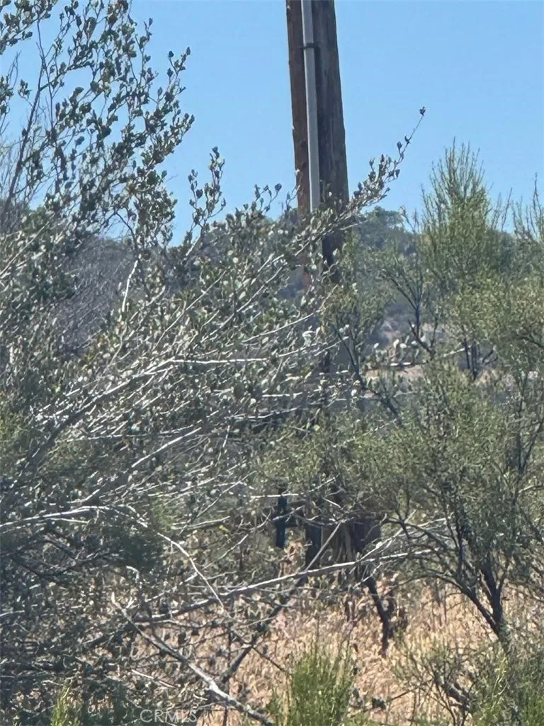 Upper Tule Anza, CA 92539