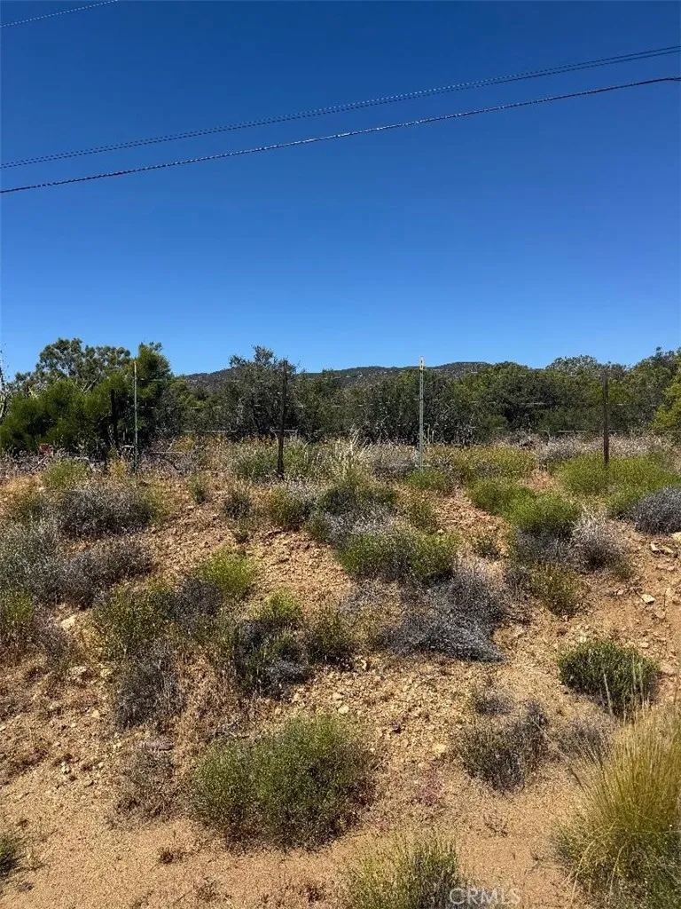 Upper Tule Anza, CA 92539