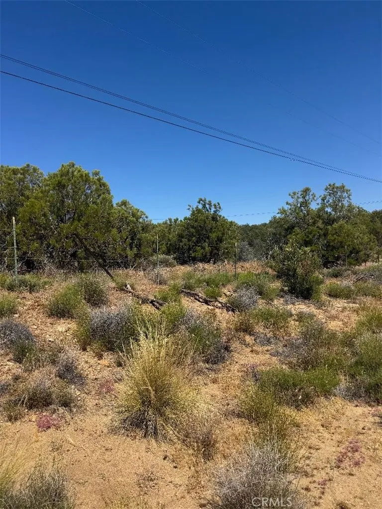 Upper Tule Anza, CA 92539