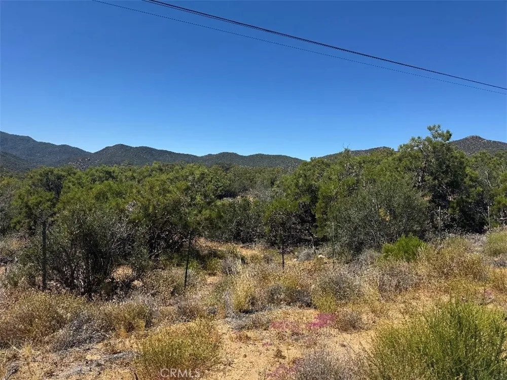 Upper Tule Anza, CA 92539
