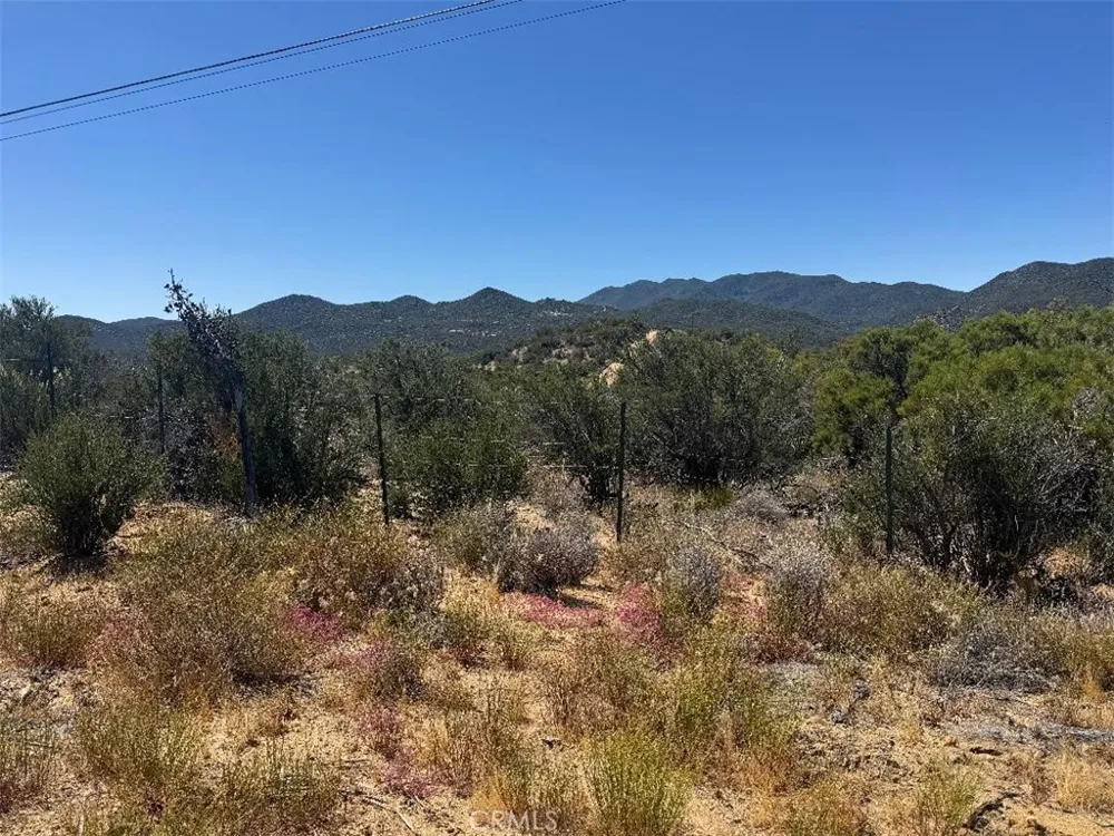 Upper Tule Anza, CA 92539