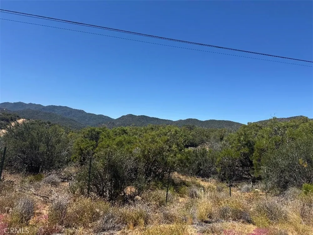 Upper Tule Anza, CA 92539