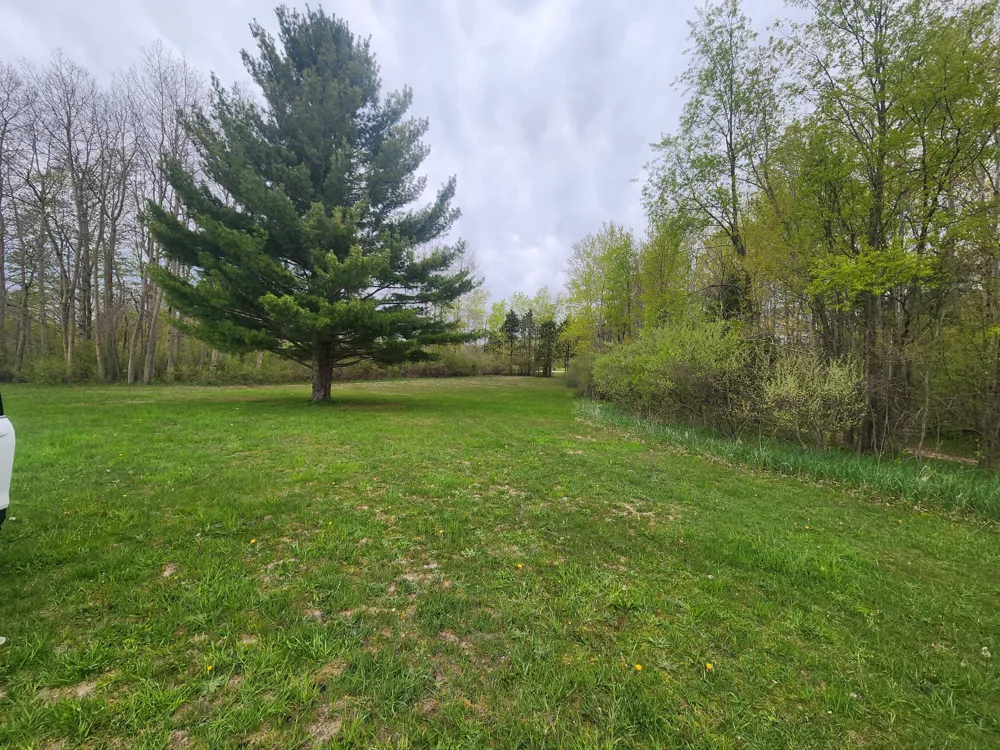120th Ave Hart, MI 49420