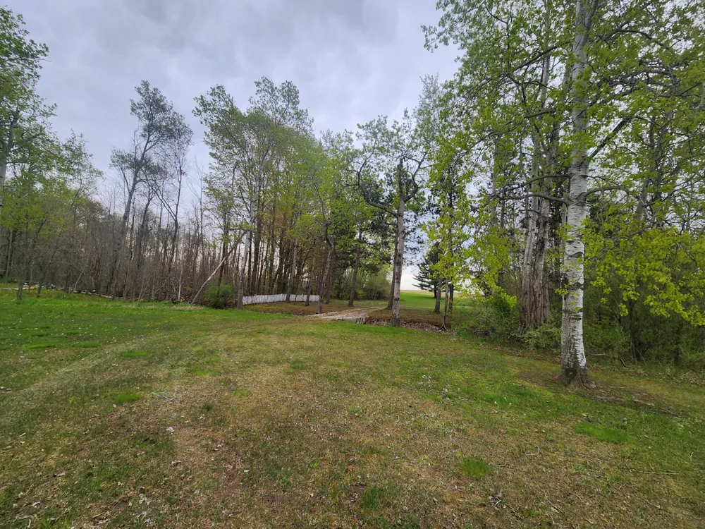 120th Ave Hart, MI 49420