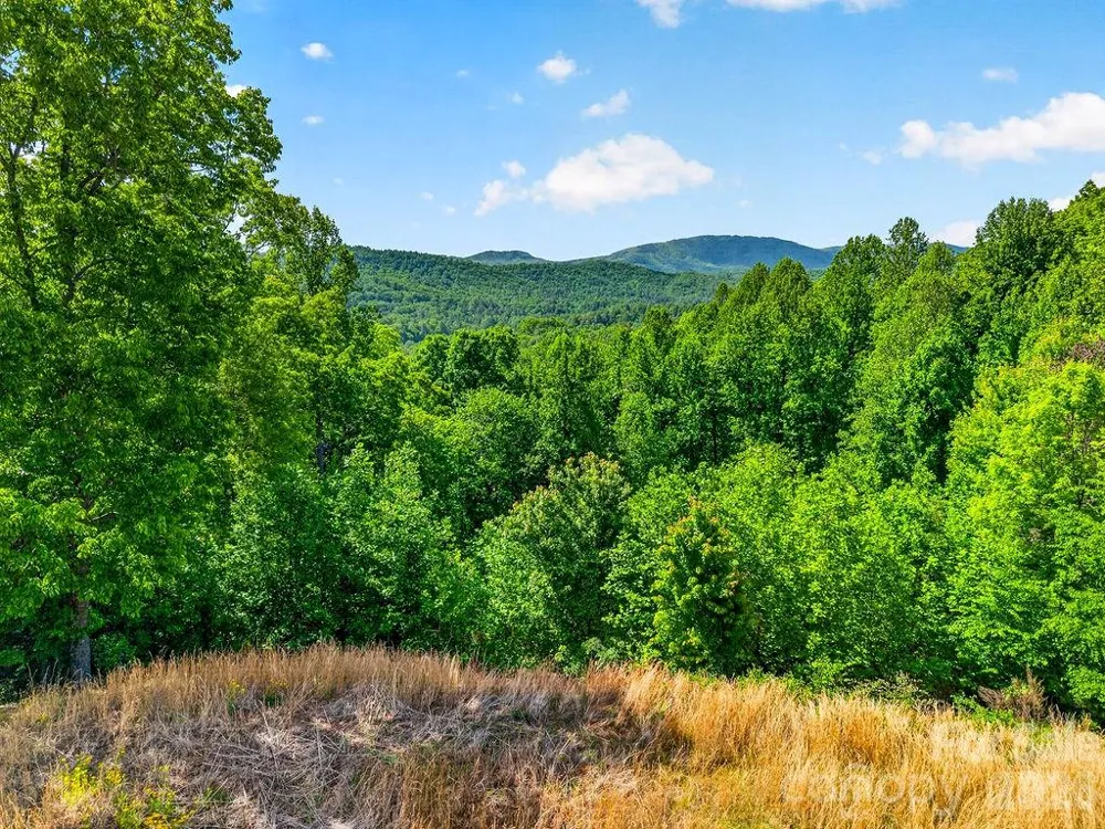 51 Falls Lane Hendersonville, NC 28739