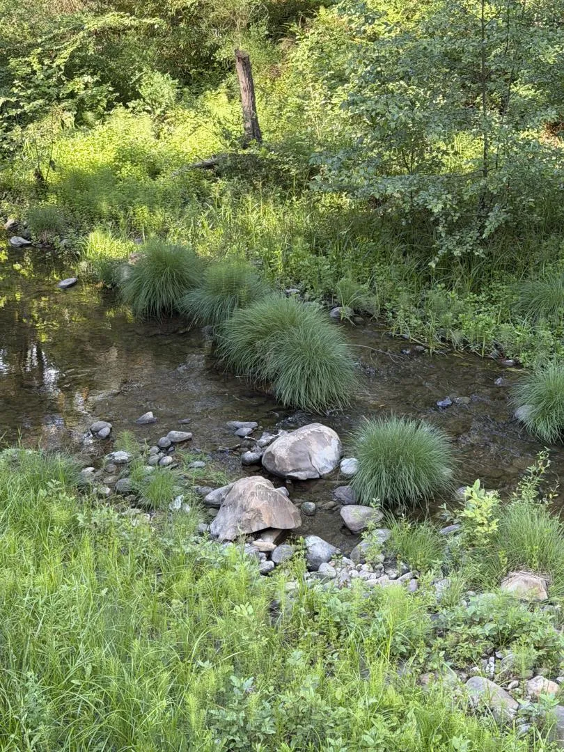 14 Fernwood Drive Boulder Creek, CA 95006