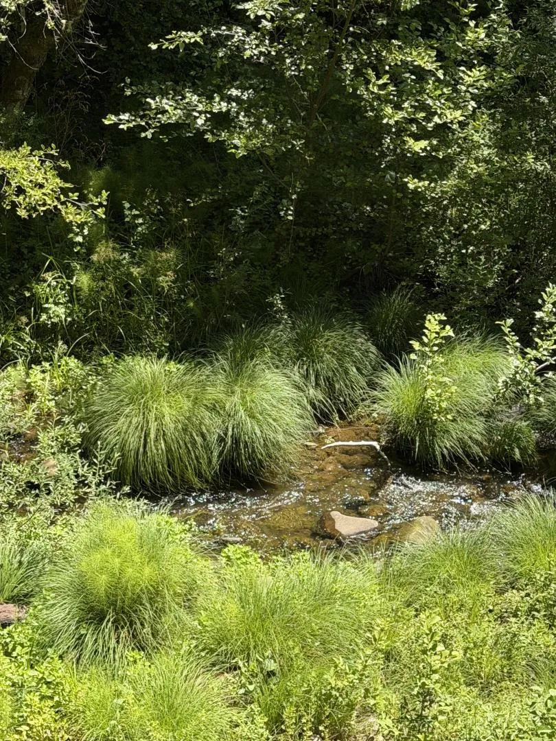 14 Fernwood Drive Boulder Creek, CA 95006