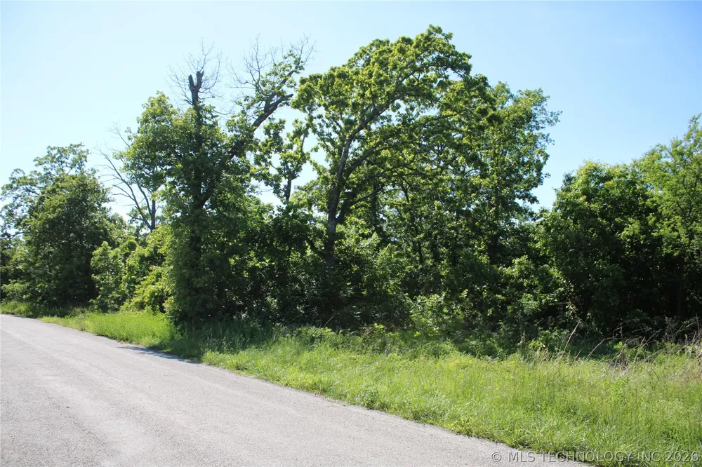E 300 ROAD Big Cabin, OK 74332