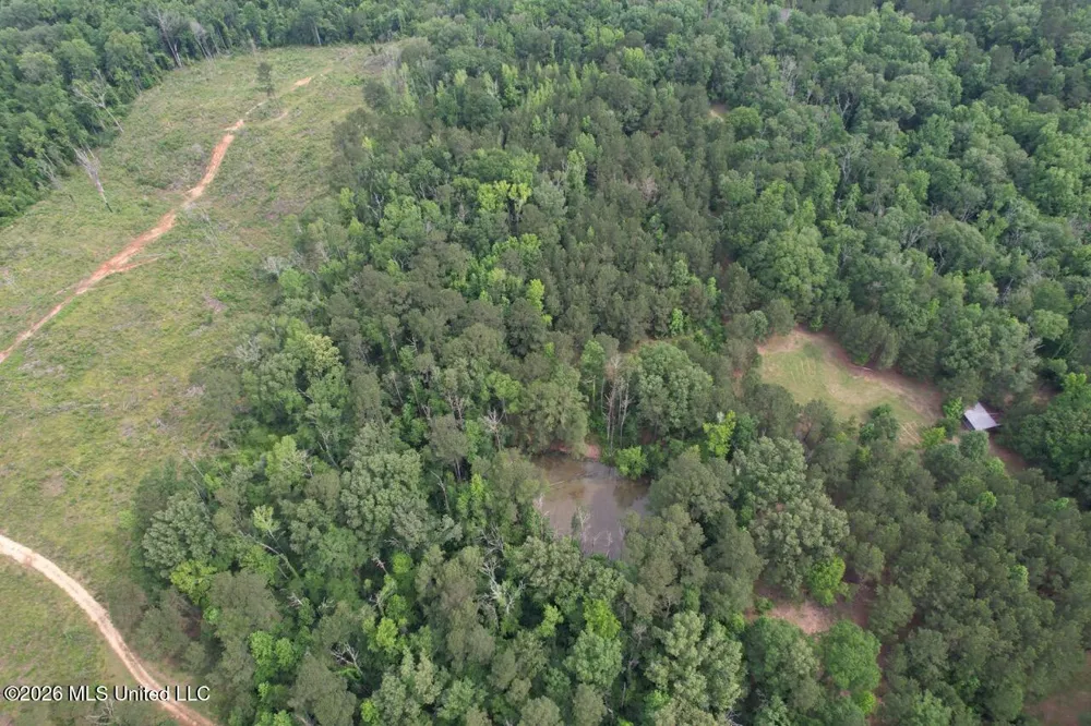4155 Sterling Lane Liberty, MS 39645