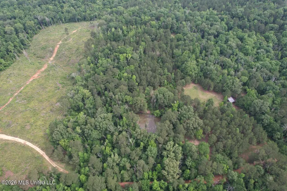 4155 Sterling Lane Liberty, MS 39645