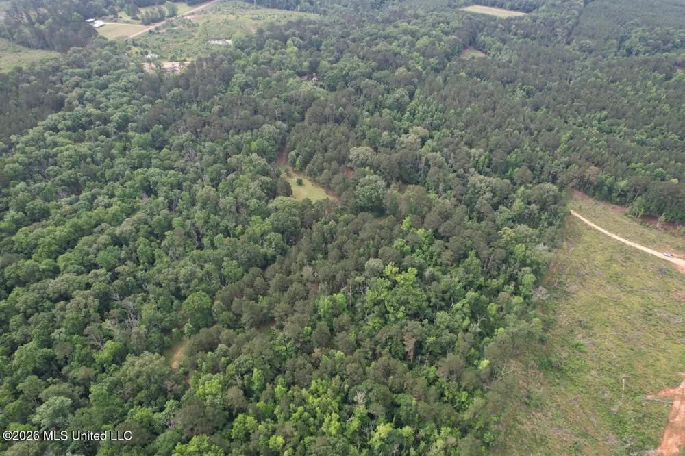 4155 Sterling Lane Liberty, MS 39645