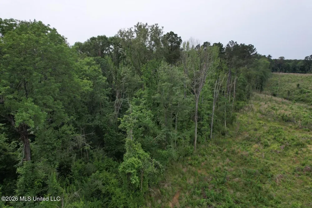 4155 Sterling Lane Liberty, MS 39645