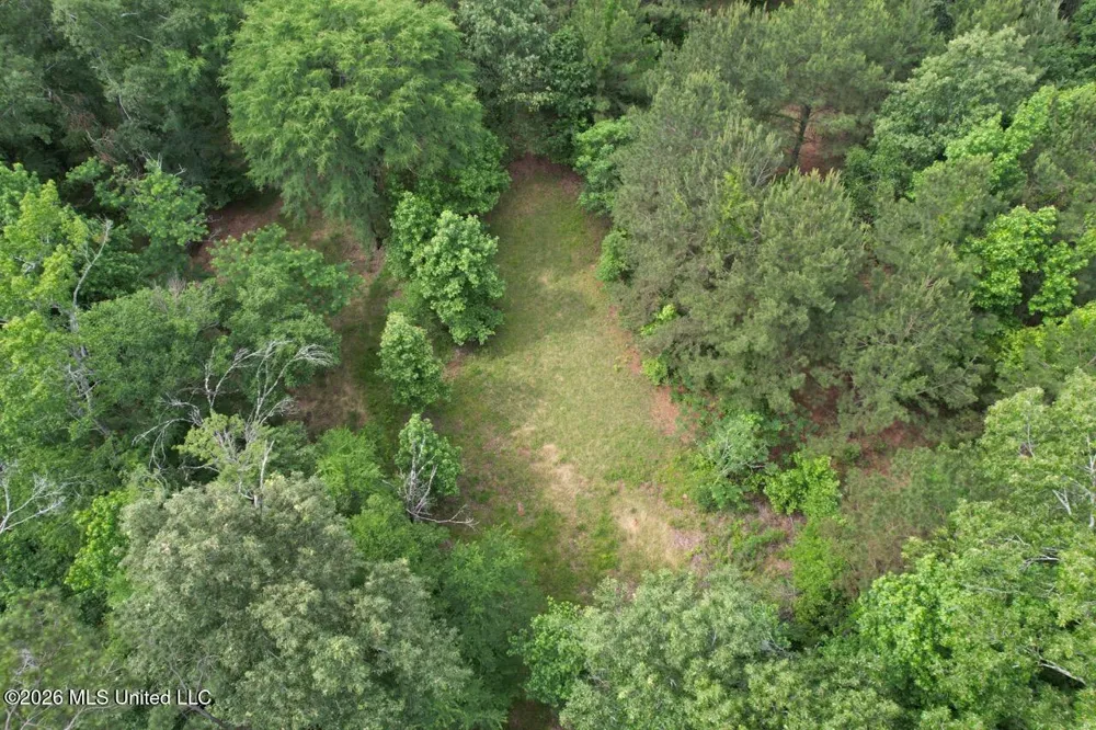 4155 Sterling Lane Liberty, MS 39645