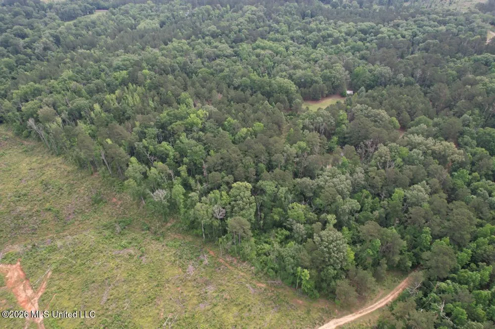 4155 Sterling Lane Liberty, MS 39645