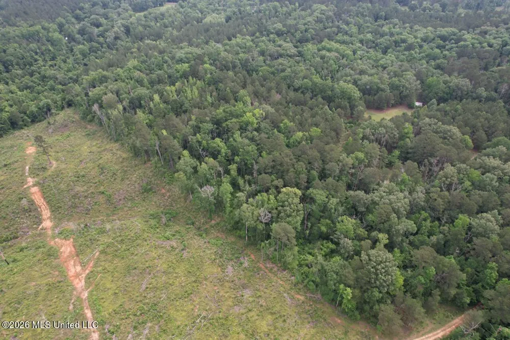 4155 Sterling Lane Liberty, MS 39645