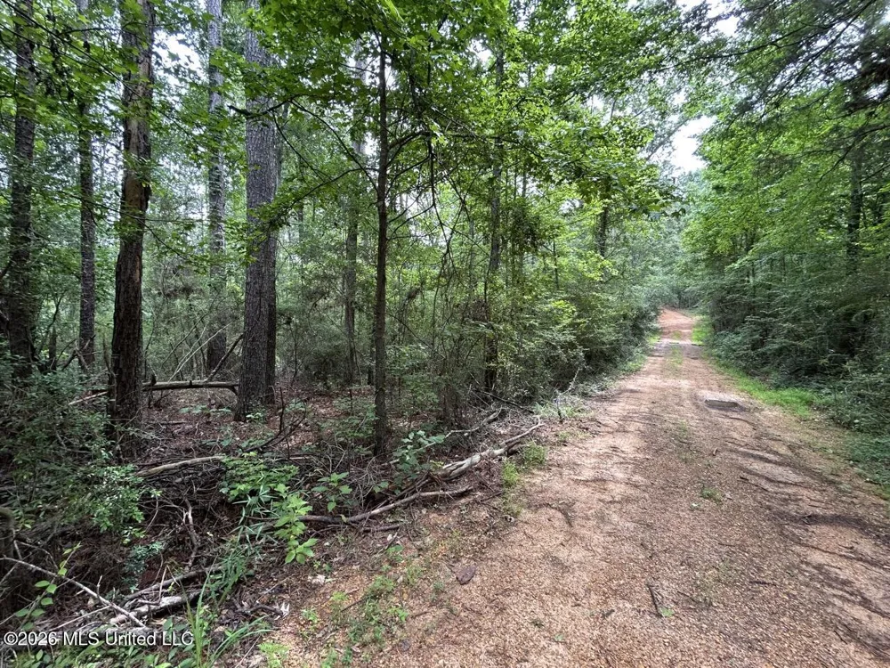 4155 Sterling Lane Liberty, MS 39645
