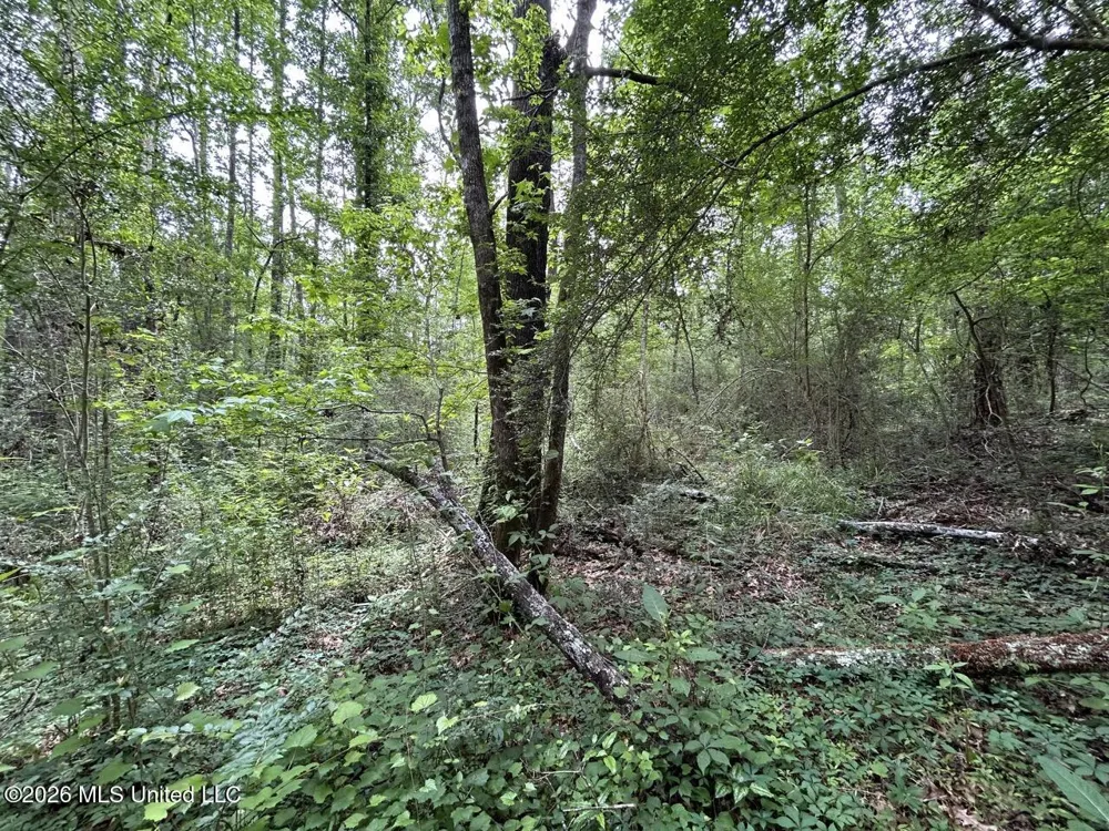 4155 Sterling Lane Liberty, MS 39645
