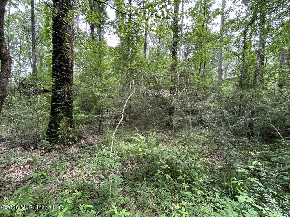 4155 Sterling Lane Liberty, MS 39645
