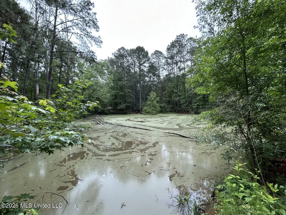 4155 Sterling Lane Liberty, MS 39645