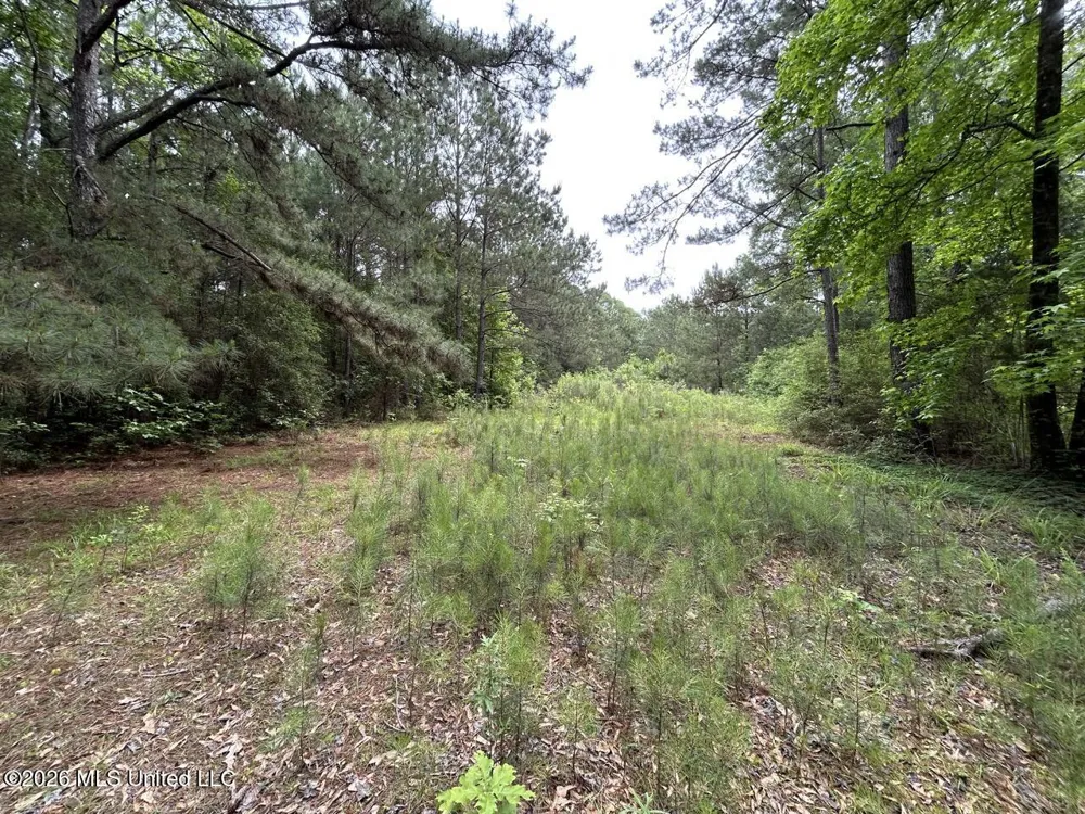 4155 Sterling Lane Liberty, MS 39645