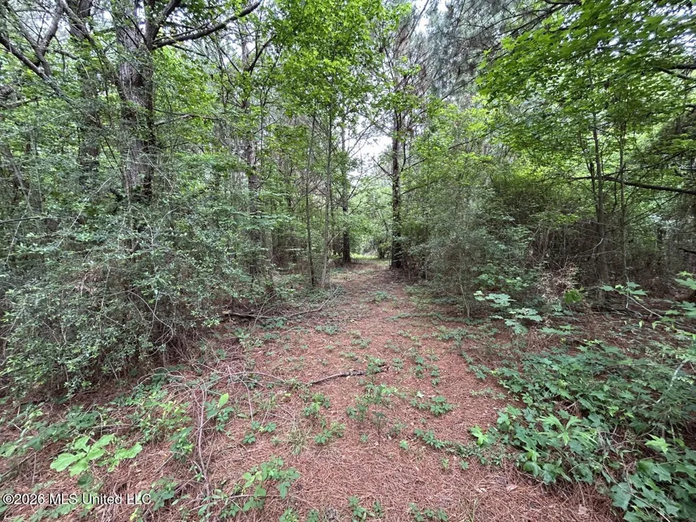 4155 Sterling Lane Liberty, MS 39645