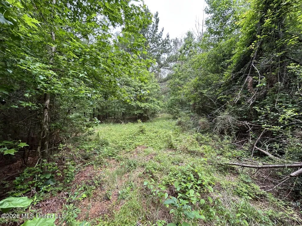 4155 Sterling Lane Liberty, MS 39645