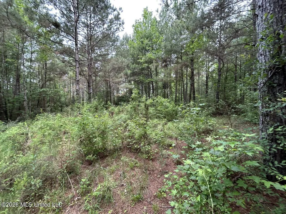 4155 Sterling Lane Liberty, MS 39645