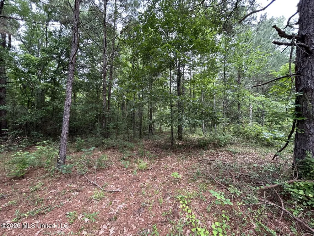 4155 Sterling Lane Liberty, MS 39645