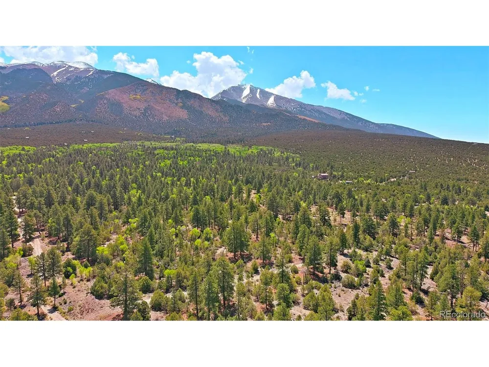 33 Big Bear Road Mosca, CO 81146
