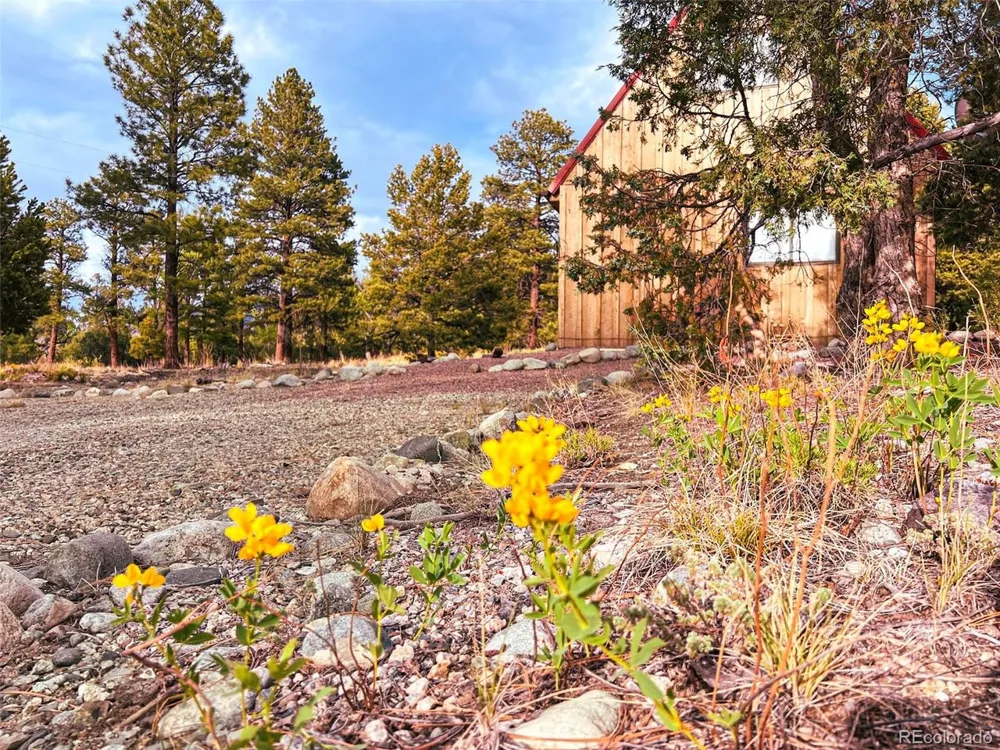 33 Big Bear Road Mosca, CO 81146
