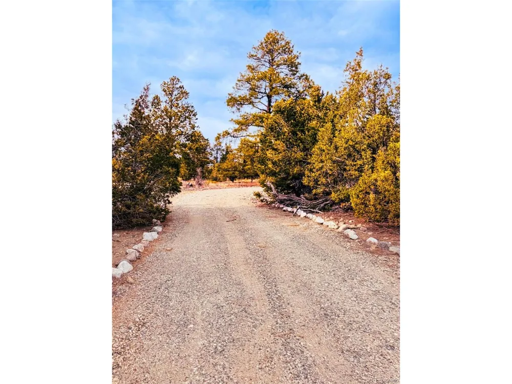 33 Big Bear Road Mosca, CO 81146