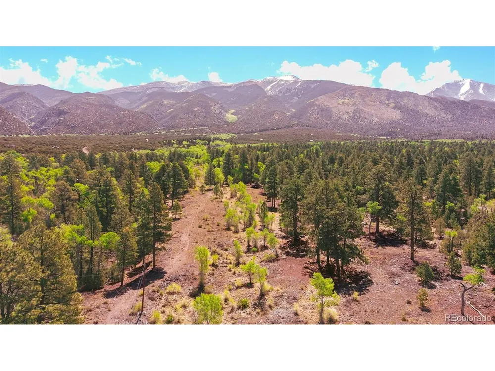 33 Big Bear Road Mosca, CO 81146
