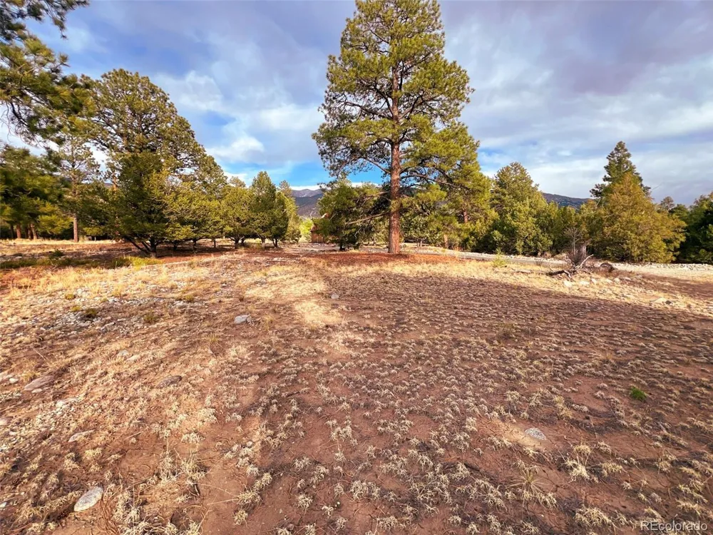 33 Big Bear Road Mosca, CO 81146