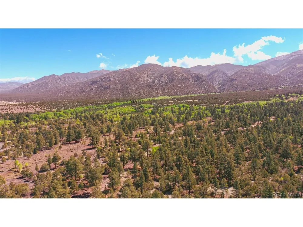 33 Big Bear Road Mosca, CO 81146