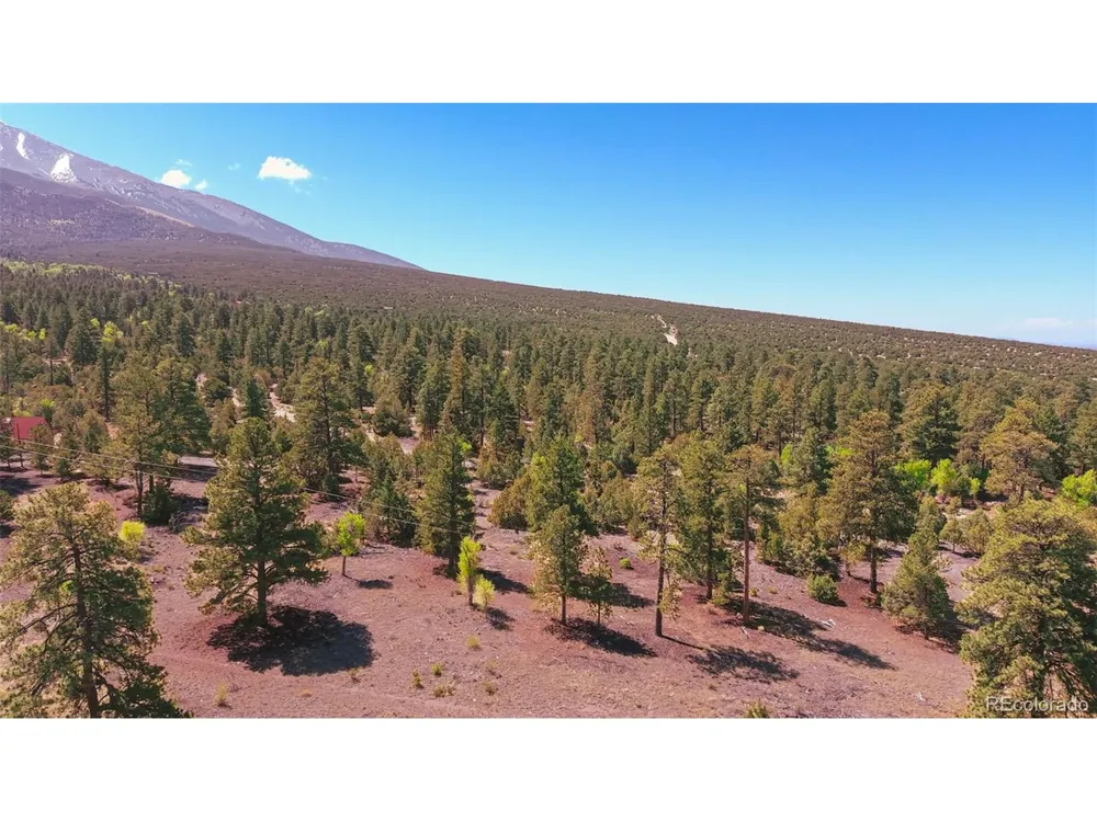 33 Big Bear Road Mosca, CO 81146