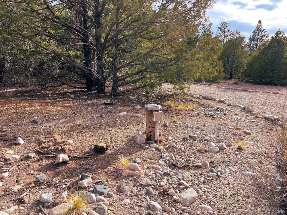 33 Big Bear Road Mosca, CO 81146