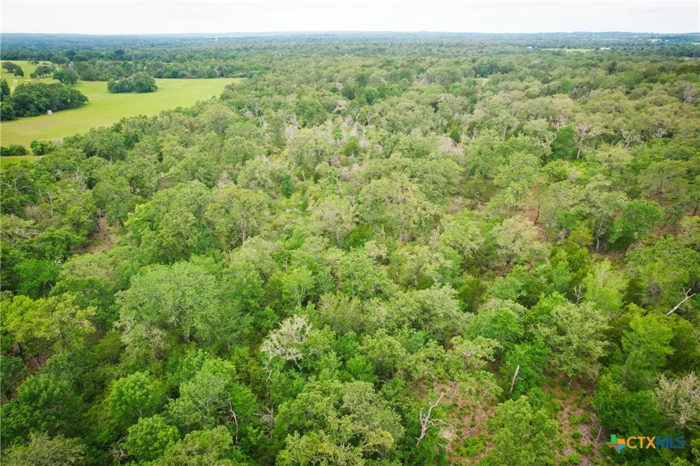 6 Ranches At Meadow Park Milano, TX 76556