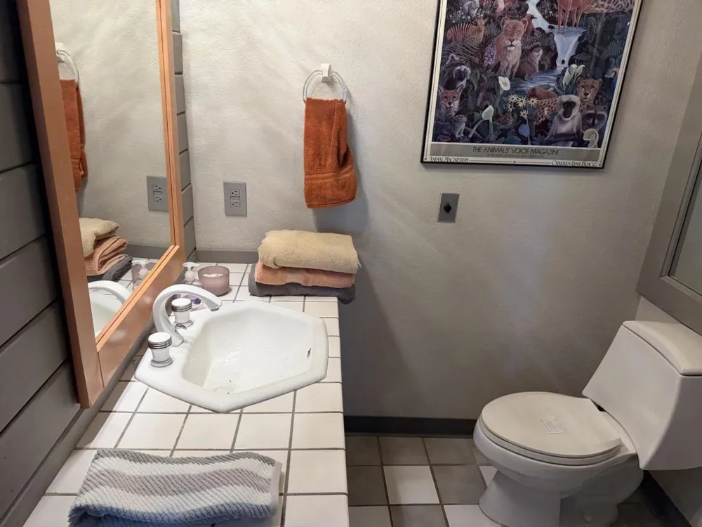 49027 Hibiscus Drive Morongo Valley, CA 92256