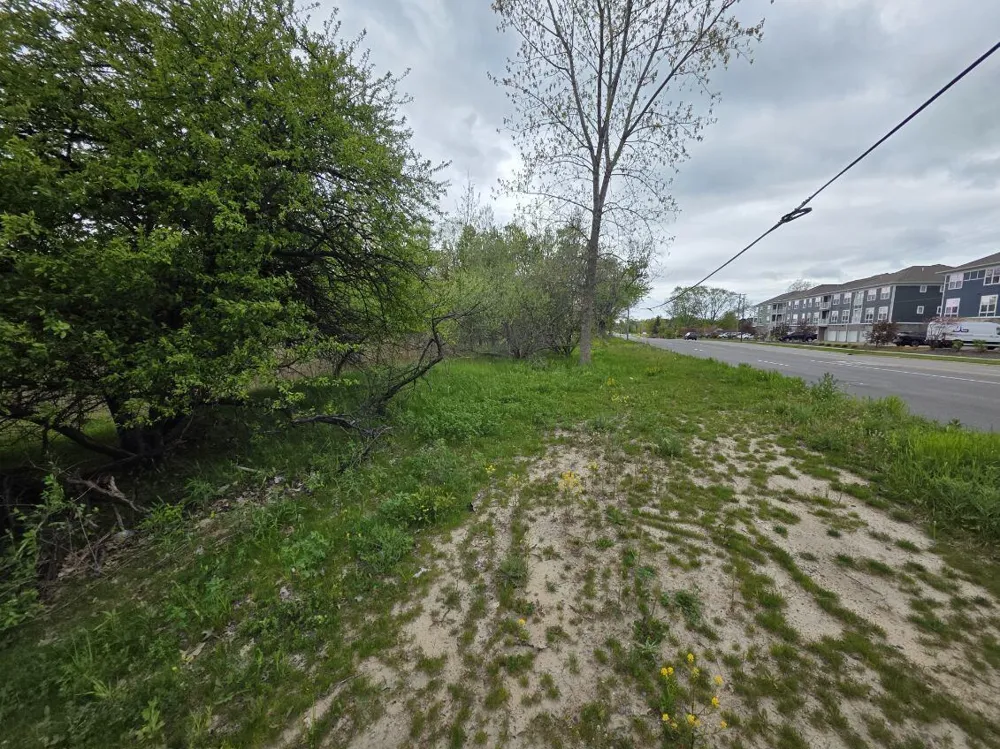 10816 Adams Street Holland, MI 49423