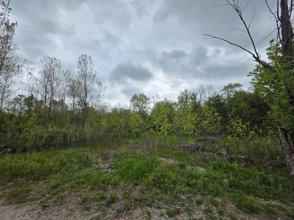 10816 Adams Street Holland, MI 49423