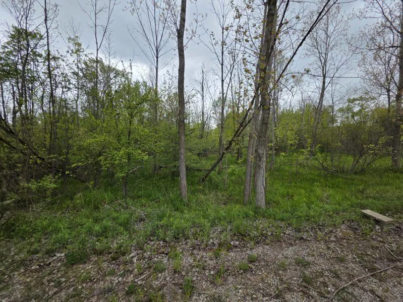 10816 Adams Street Holland, MI 49423