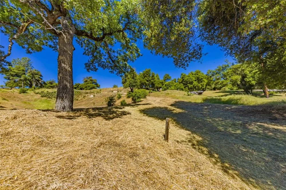 42514 Highway 49 Ahwahnee, CA 93601