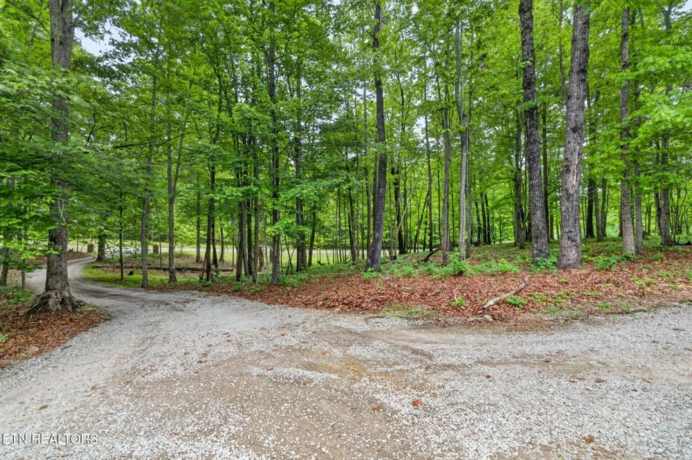 500 Cliff Park Rd Monterey, TN 38574