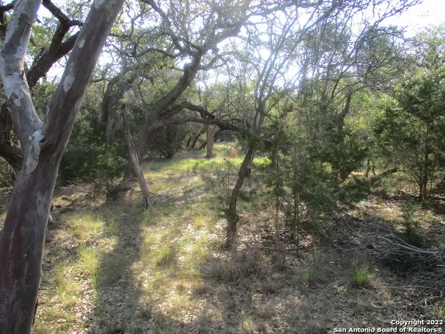 34750 Shelly Bridge Pt Bulverde, TX 78163
