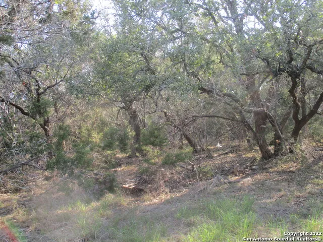 34750 Shelly Bridge Pt Bulverde, TX 78163