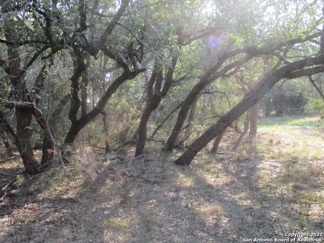 34750 Shelly Bridge Pt Bulverde, TX 78163