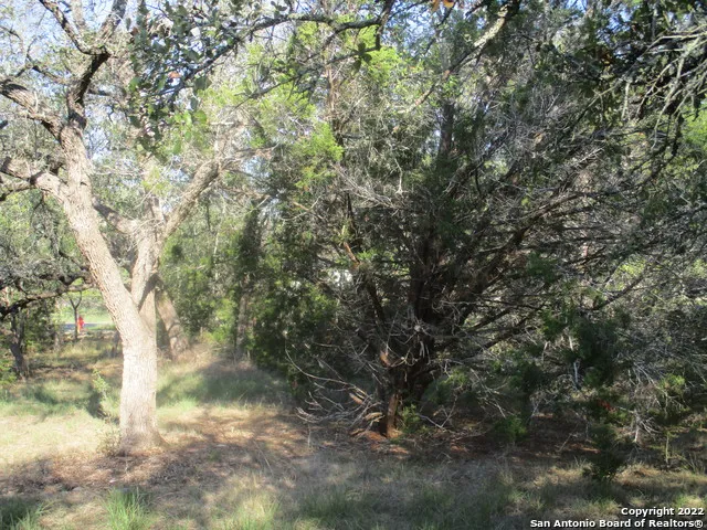 34750 Shelly Bridge Pt Bulverde, TX 78163