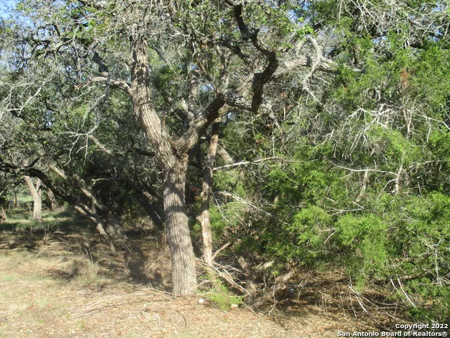 34750 Shelly Bridge Pt Bulverde, TX 78163