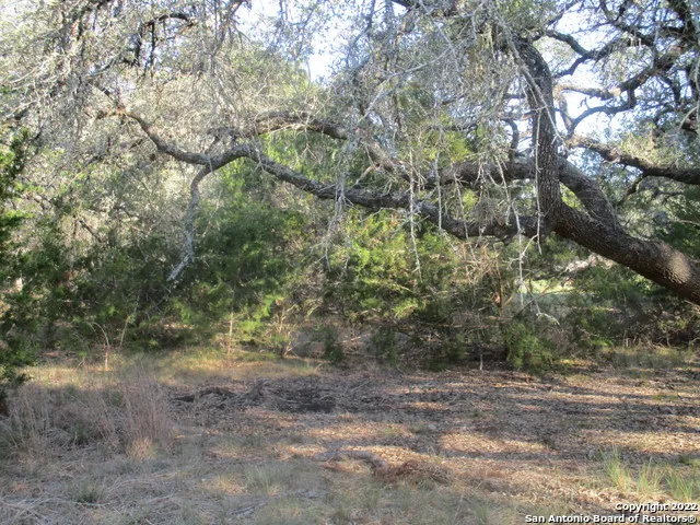 34750 Shelly Bridge Pt Bulverde, TX 78163