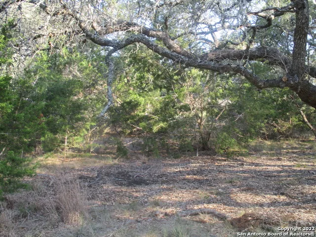 34750 Shelly Bridge Pt Bulverde, TX 78163